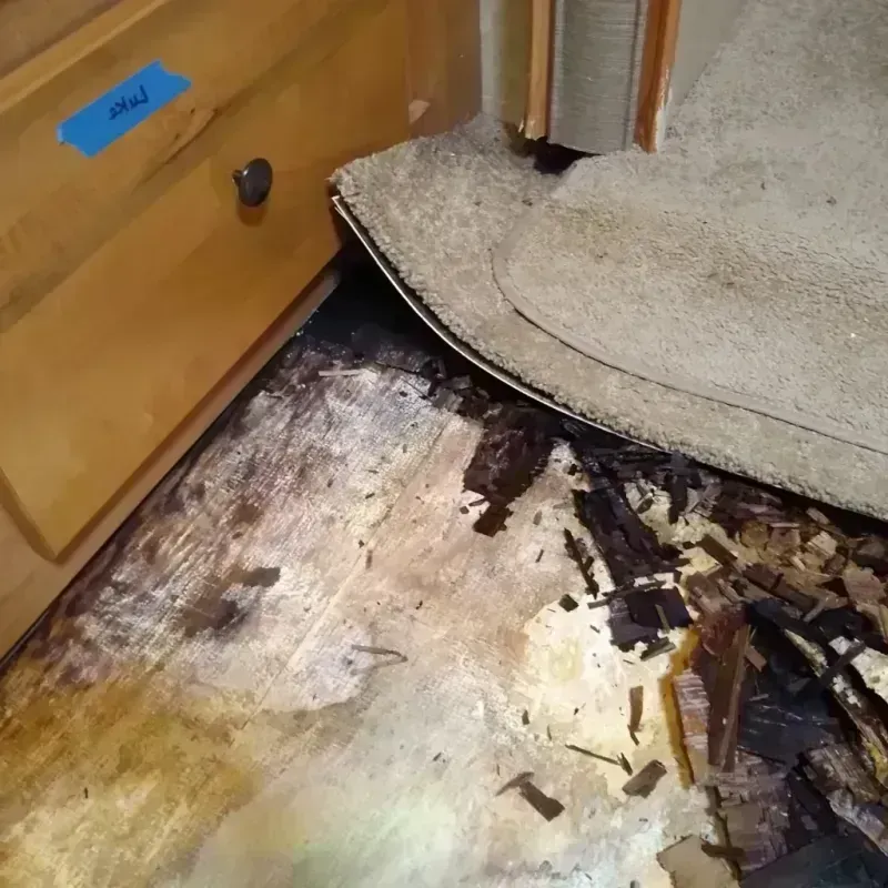 Wood Floor Water Damage in Heathrow, FL